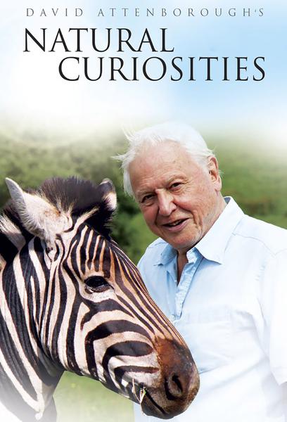 David Attenborough S Natural Curiosities Watch Malaysia Daily Tv Audience Insights For Smarter Content Decisions Parrot Analytics