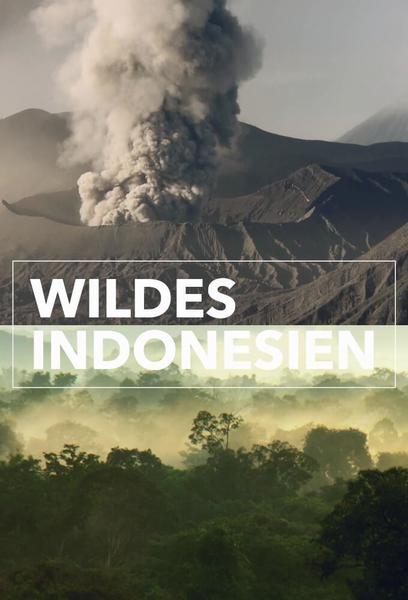 Wildest Islands Of Indonesia