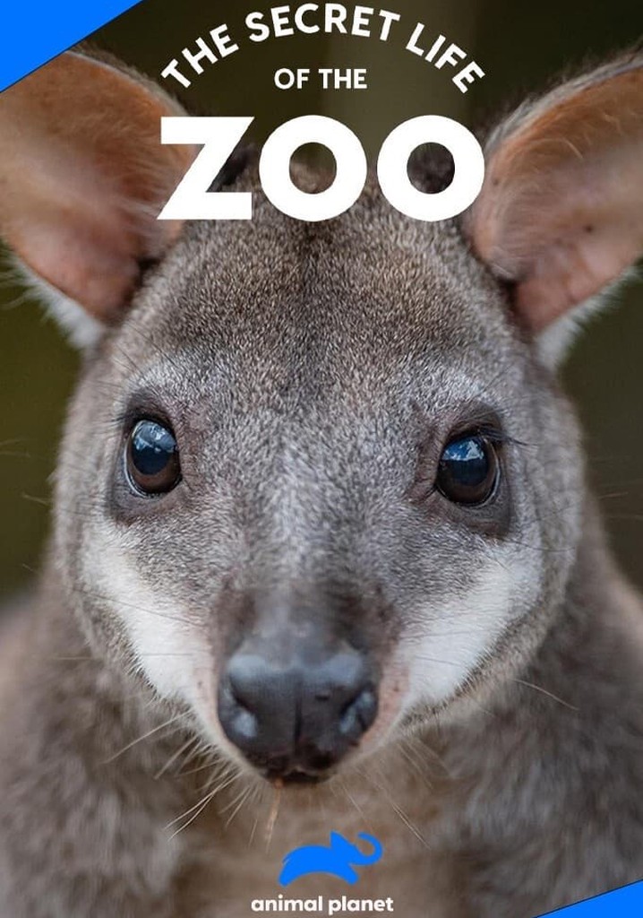 The Secret Life Of The Zoo: Find new TV shows to watch next - TVGEEK