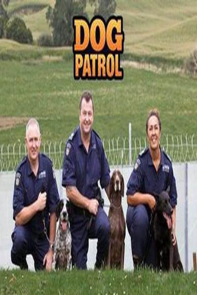 TV ratings for Dog Patrol in Poland. Channel 7 TV series